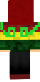 HasanSinsTR