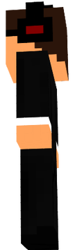 Paneleiro