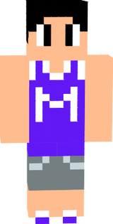 mi skin 1