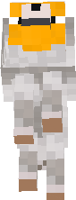 Cachorro nao terminado