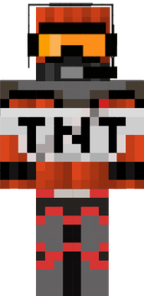 tntishnik