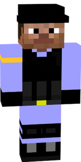 Steve Innovation Inc. Guard
