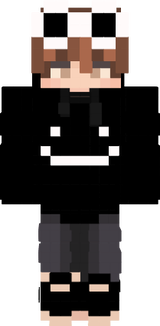 dsmp skin