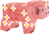 Pig Flower White and Yellow