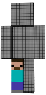 steve