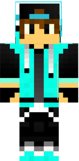 skin
