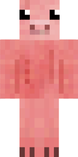 CUTE PIG