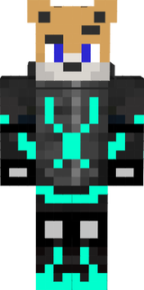 skin bug fix