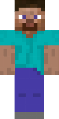 Preview of texture: steve fininho
