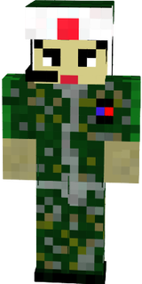 #%E6%97%A5%E6%9C%AC%E5%85%B5%E3%82%B9%E3%82%AD%E3%83%B3 Minecraft Skins ...