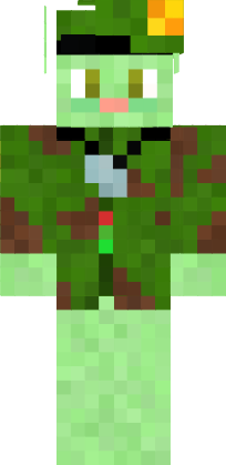 Preview of texture: Flippy