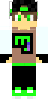 tinyarsan minecraft