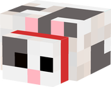 hamster