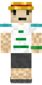 Thegreenturtle