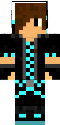 Preview of texture: sasassa