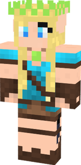 winter minecraft direies skin