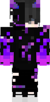gato