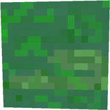 liquid_plasma_not_moving