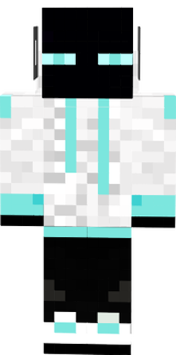 Ender Boy