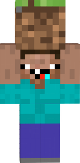 stev