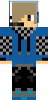 pro minecrafter