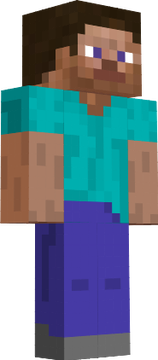 steve