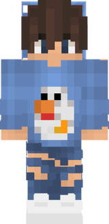 Pollo