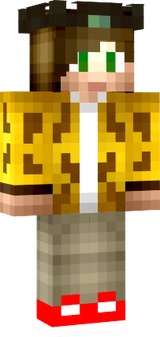 DvstDash