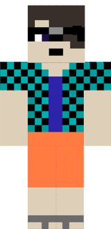 skin