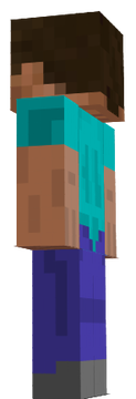 Steve