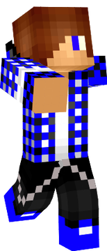 schicki