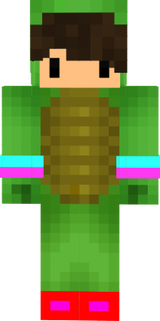 Turtleer