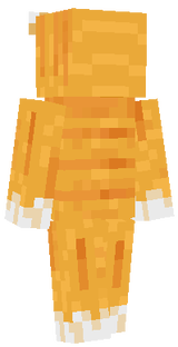 Ginger cat