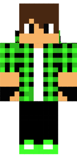 skin mincraft