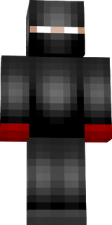 ninja br 2