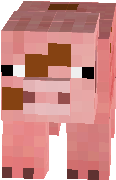 pig2