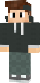 LOGO eigener skin