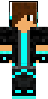 Dobbe2