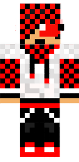 skin a damier