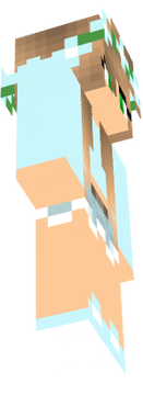 skin