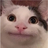 Вфвысф