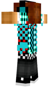 skin