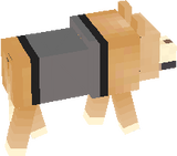 BUDDY REAL
