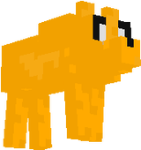 jake