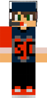 ProViki