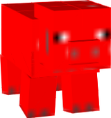 pig