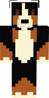Bernese Mountain Dog