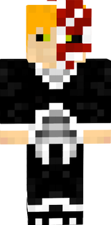 ichigo half hollow