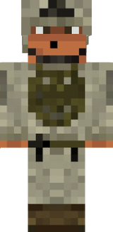 ds