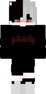 skin